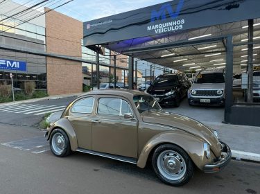 WhatsApp Image 2026-03-03 at 18.02.59